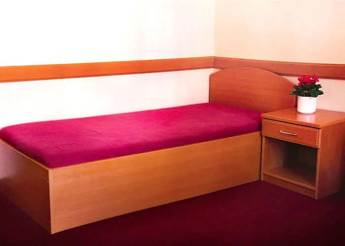 Hotel Hejtman 3*